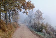 Foggy Country Road In Autumn. Stock Photo