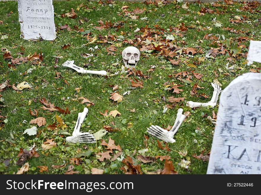 A halloween skeleton buried in the green grass with fall leaves all around. A halloween skeleton buried in the green grass with fall leaves all around.