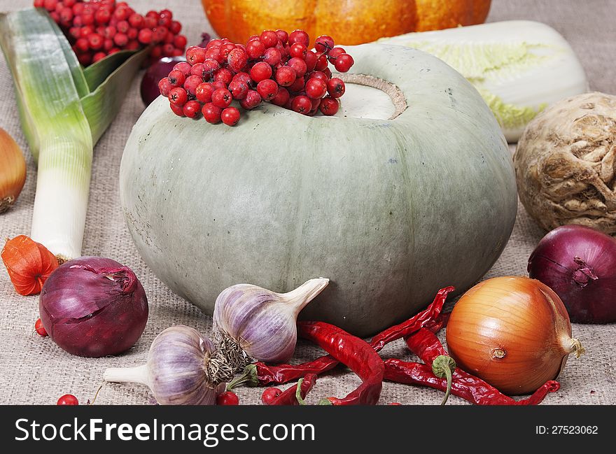Group of different vegetables on grey background