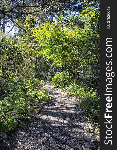 Beautiful peaceful walking trail in the woods