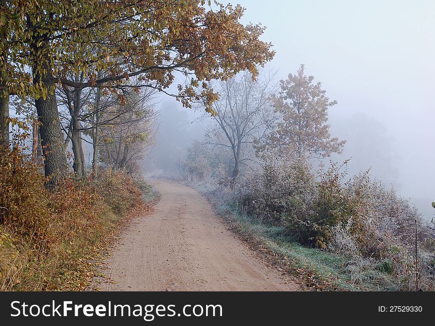 Foggy Country Road In Autumn.