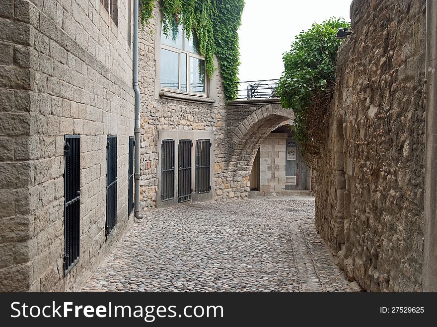 Medieval town Carcasonne, France