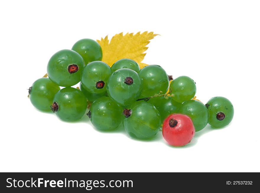 A cluster of green currant with a red currant and yellow leaf isolated on white background. A cluster of green currant with a red currant and yellow leaf isolated on white background