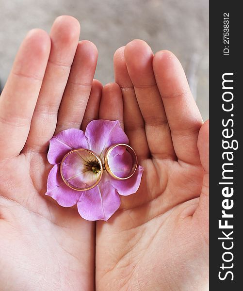 Boys hands with wedding rings and petunia