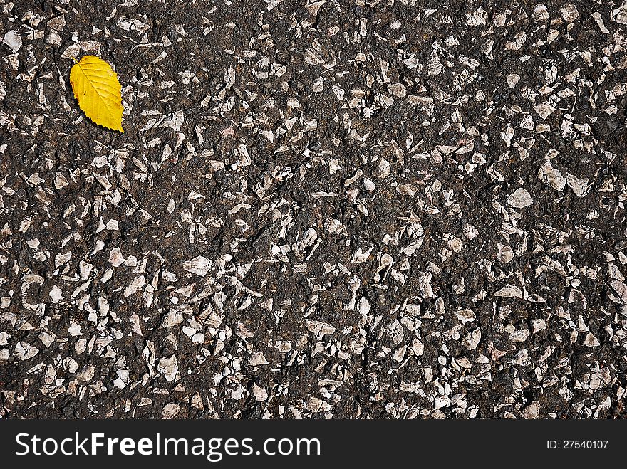 Yellow leaf lying on the asphalt structured. Yellow leaf lying on the asphalt structured