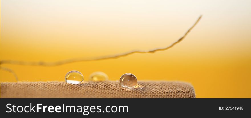 Macro image of water drops. Macro image of water drops