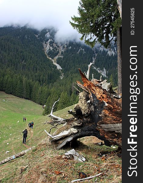 This image presents a group of 5 people going up the mountain on a path. This image presents a group of 5 people going up the mountain on a path