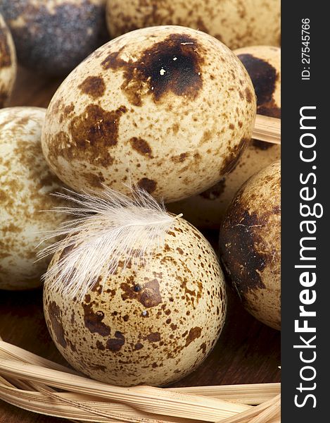 Background of Quail Eggs with Plumelet in Bucket closeup