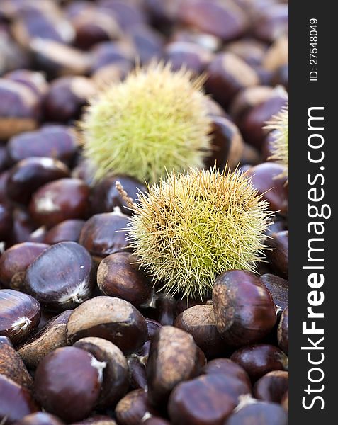 Beautiful matured chestnuts in bulk