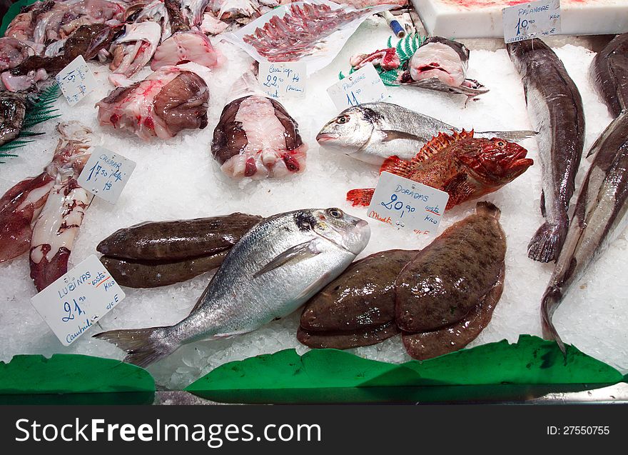 Multiple species of fish at a market; on ice in horizontal orientation. Multiple species of fish at a market; on ice in horizontal orientation