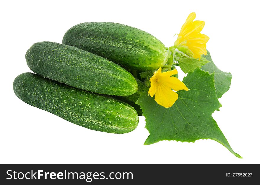 Cucumbers isolated on a white background