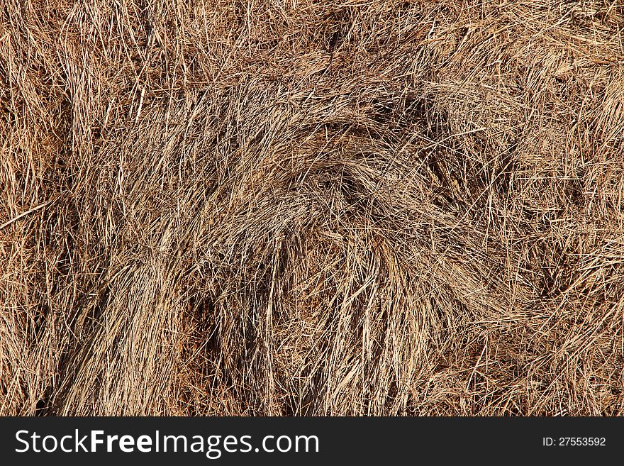 Background of dry hay and straw