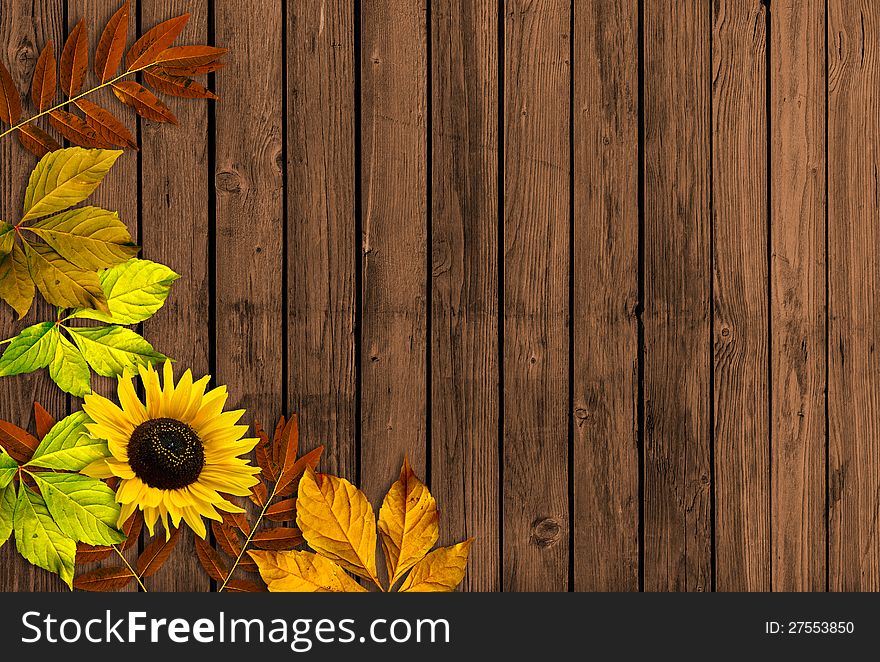 Wooden board with autumn flowers. Wooden board with autumn flowers