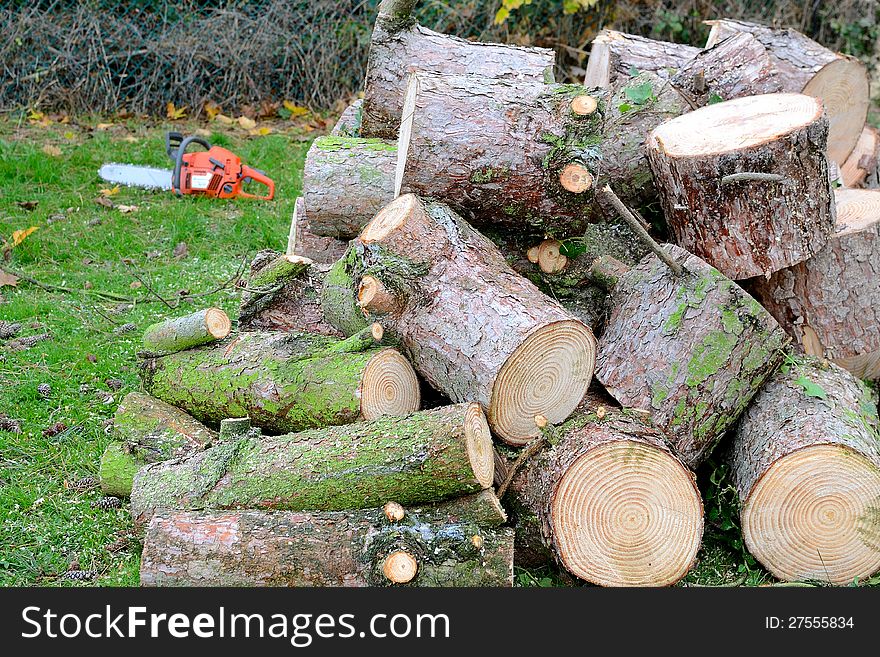 Chain saw and logs on grass
