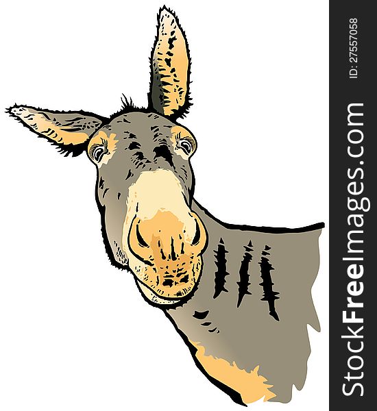 Illustration from original photo of donkey. Illustration from original photo of donkey