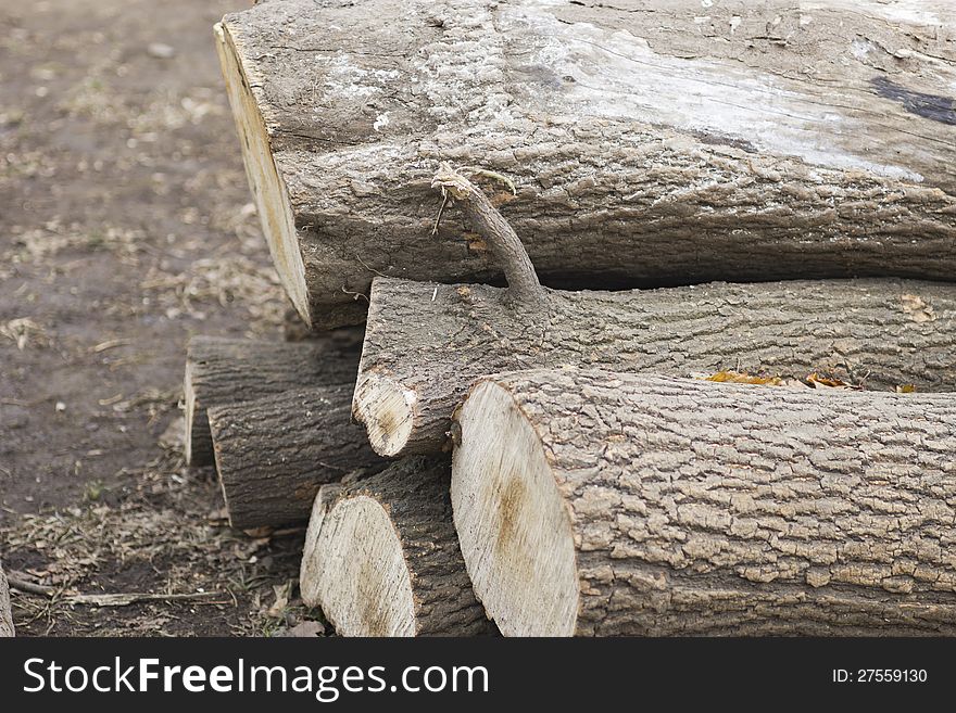 Firewood lies a pile on the earth. Firewood lies a pile on the earth