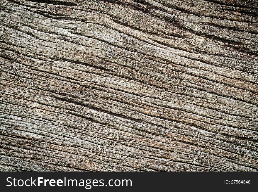 Texture of old and grunge wood. Texture of old and grunge wood