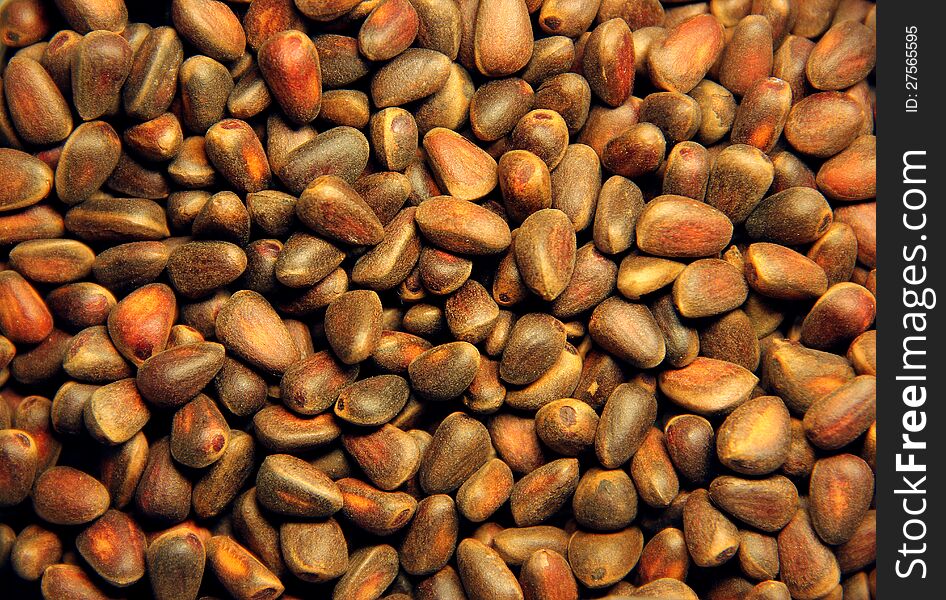 Pine nuts collected in a heap