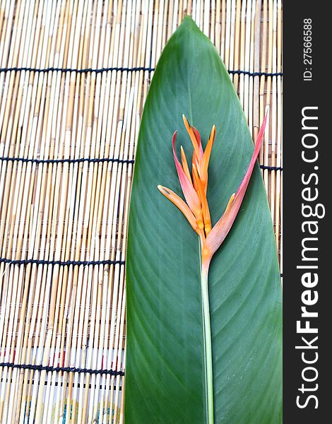 Heliconia flower on the wooden table cloth