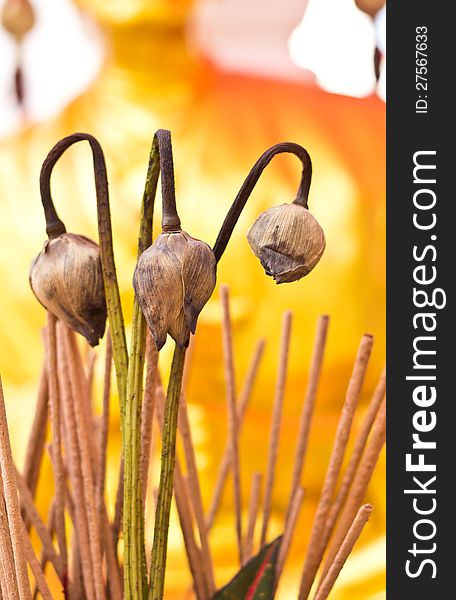 Dry lotus flower, incense and buddha statue