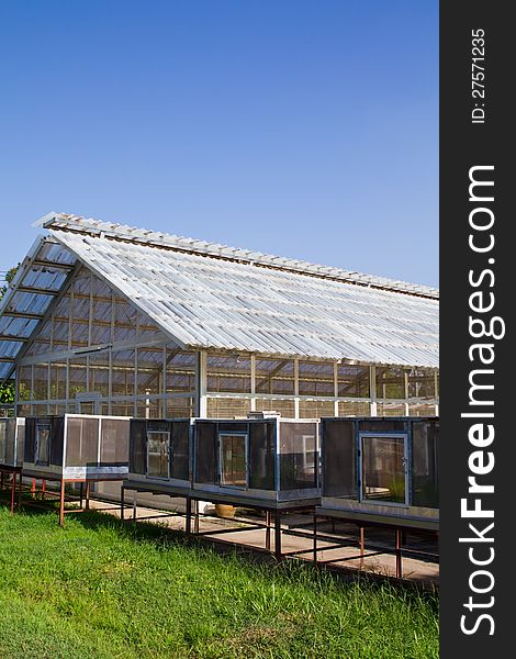 Rice control cabinet and greenhouse (cabinet for insect resistance test). Rice control cabinet and greenhouse (cabinet for insect resistance test)