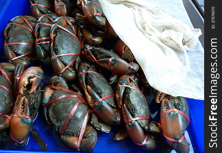 Crabs tied up for easy preparation