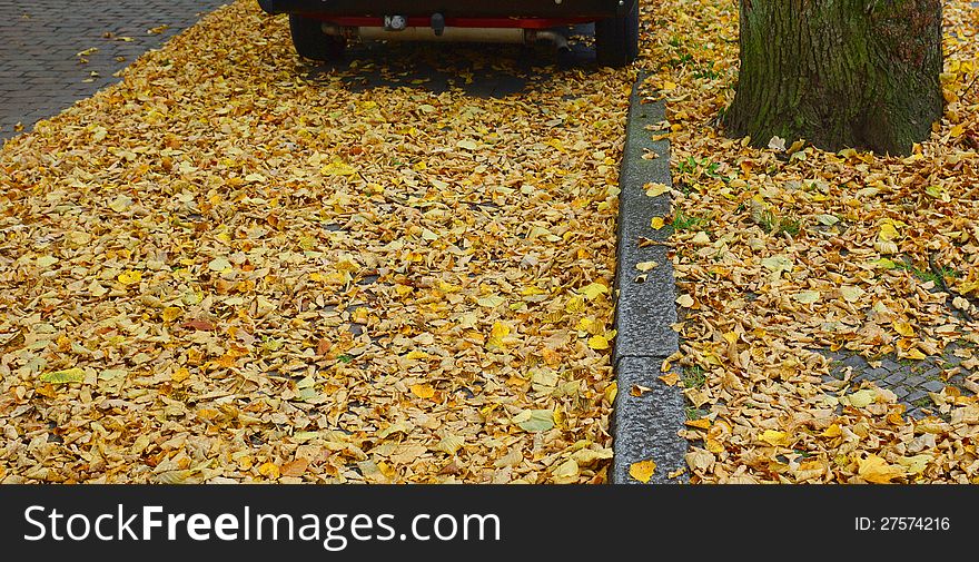 Background with autumn leaf on the road. Background with autumn leaf on the road