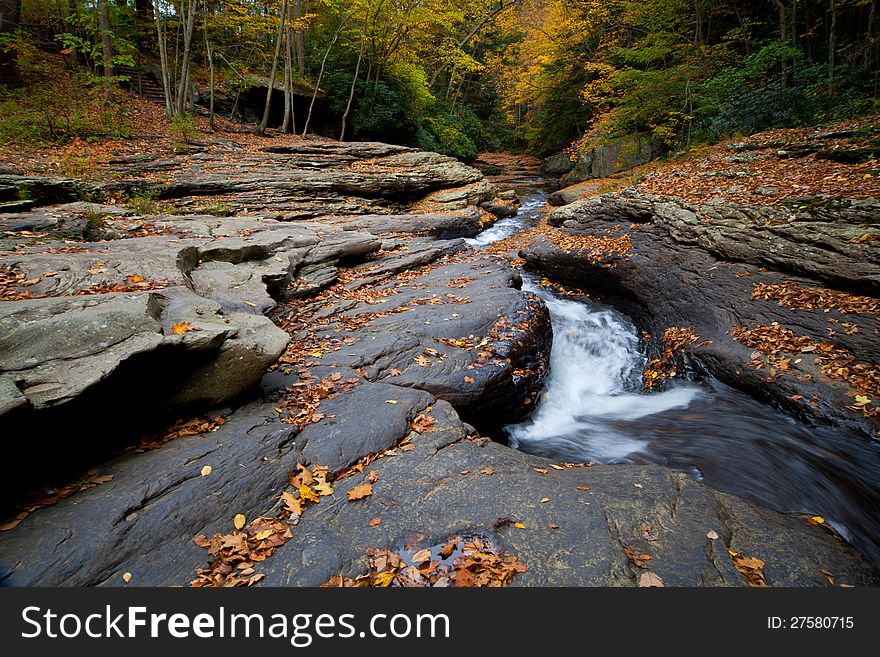 Autumn forest rocks creek in the woods with yellow trees foliage