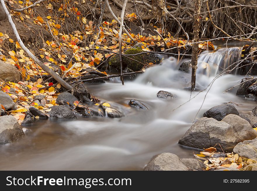 Color Aspen leaves, showing Fall colors in brilliant yellows and golds.  Long exposure on river with motion blur. Color Aspen leaves, showing Fall colors in brilliant yellows and golds.  Long exposure on river with motion blur