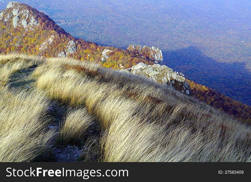 Feather-Grass On Rocks Mountains