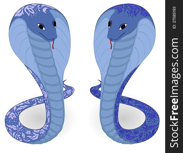 Vector illustration of two blue cobras with floral pattern