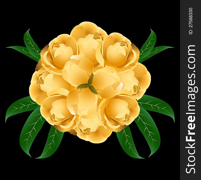 Vector bunch of yellow roses isolated on black background