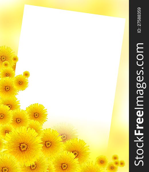 Yellow background with lot of dandelion flowers and blank white surface for text. Yellow background with lot of dandelion flowers and blank white surface for text