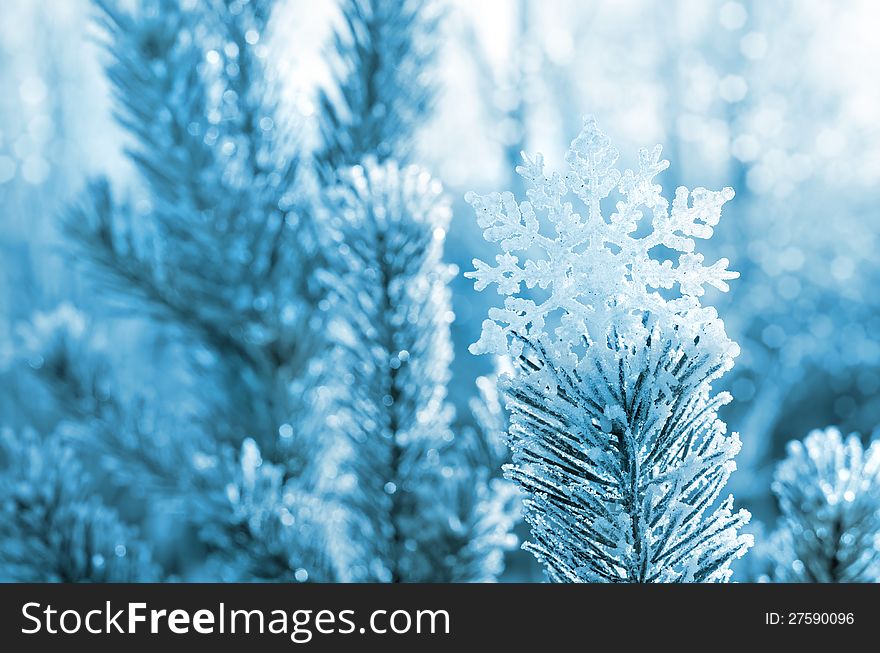 Winter background with decorative snowflake on the tree. Winter background with decorative snowflake on the tree