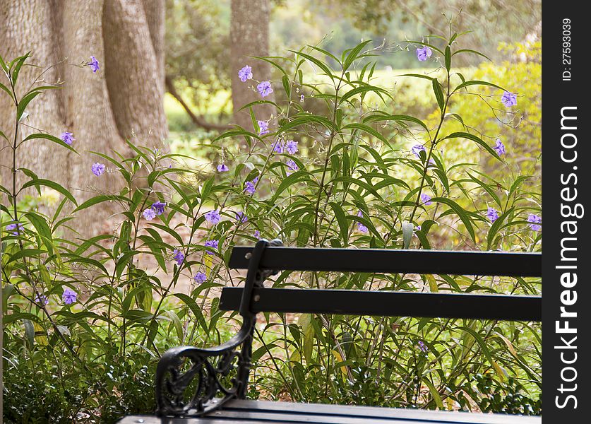 A garden bench in front of delicate blue flowers and sturdy tree trunks