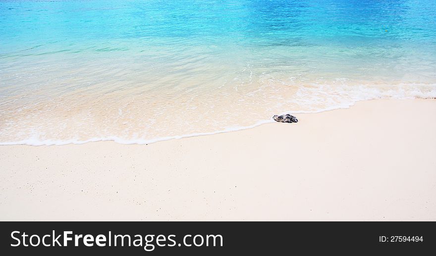 Tropical beach and sea wave, Similan island