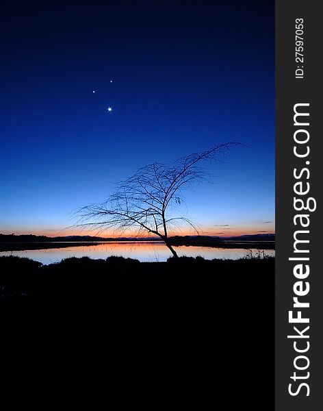 Silhouettes of trees twilight with the small moon smiling.In front of the Chiang Saen Lake. Chiang Rai. Northern Thailand. Silhouettes of trees twilight with the small moon smiling.In front of the Chiang Saen Lake. Chiang Rai. Northern Thailand.