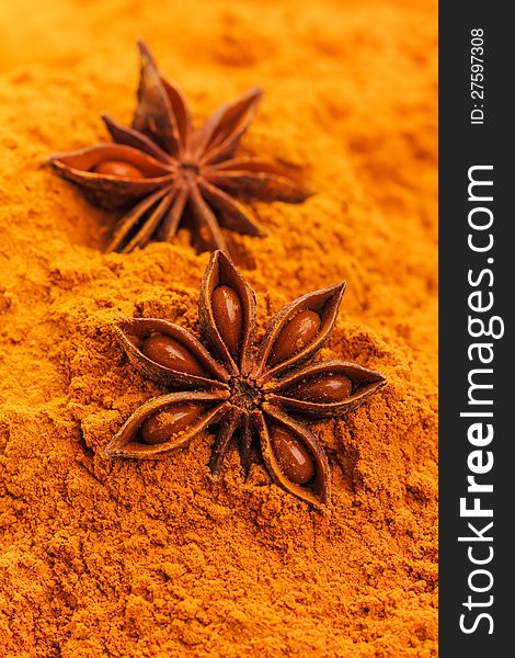 Close up image of anise and cinnamon powder