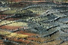 Free Artificial Wooden Texture Stock Photo - 2767200