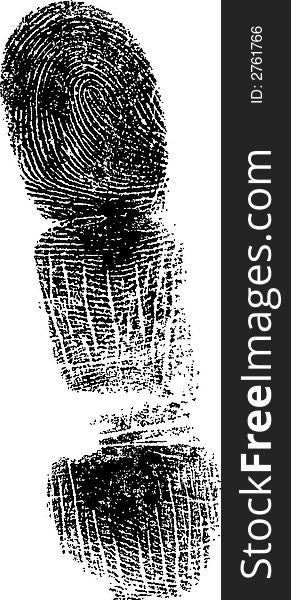 Full Finger FingerPrint (Very Detailed Vector Image). Full Finger FingerPrint (Very Detailed Vector Image)
