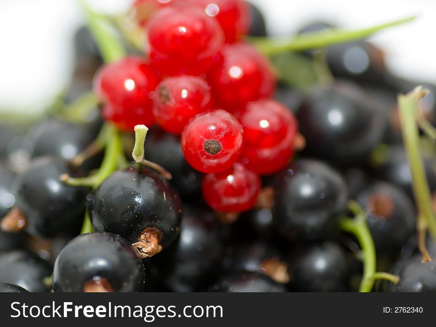 Redcurrant and blackcurrant israw material for boiling.