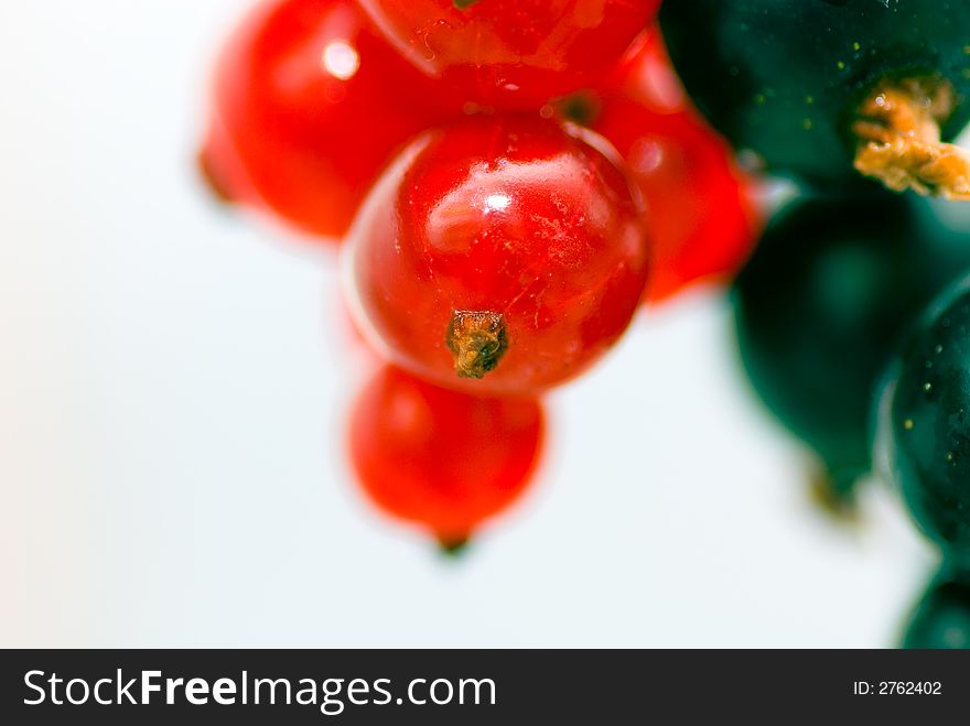 Redcurrant and blackcurrant israw material for boiling.