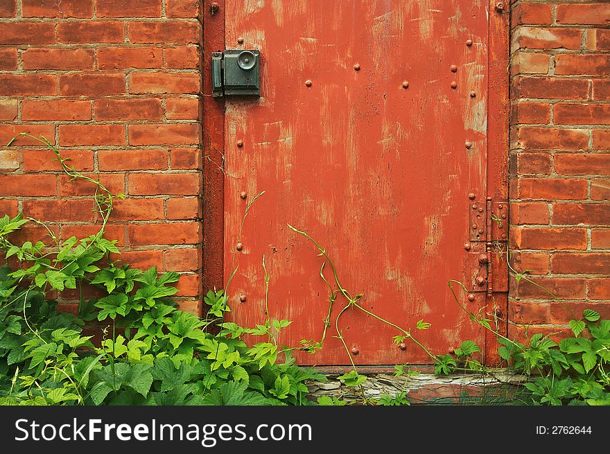 Abstract Vintage Red Door, Brick Wall and Green Vines.