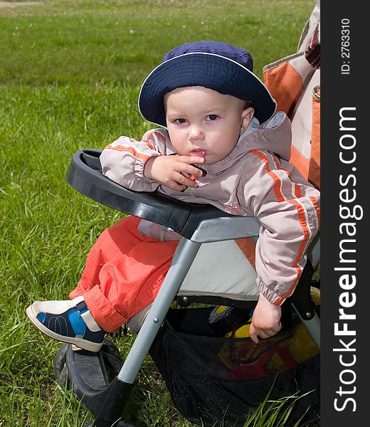 Amused boy sitting in stroller against green grass meadow in the park