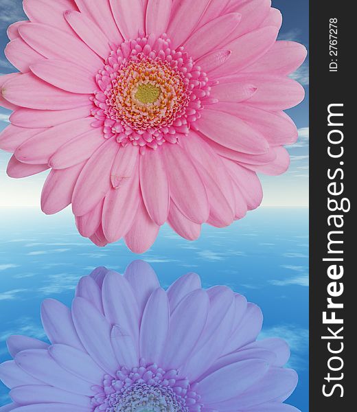 Beautiful pink flower with reflection on water - digital artwork.