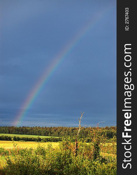 Field and rainbow in the sky