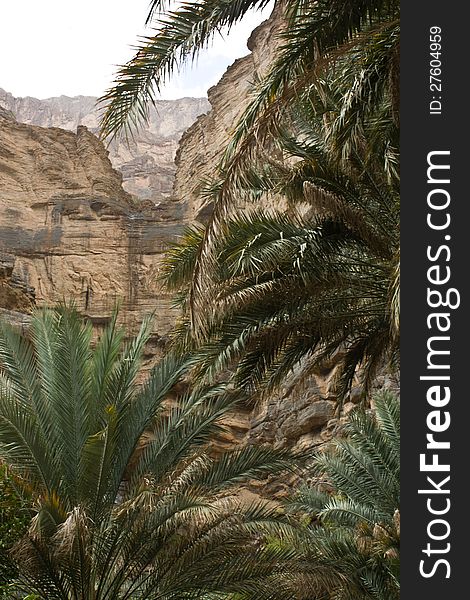 View From The Interior Of Wadi An Nakhur, Oman