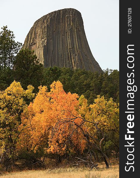 Fall Colors at Devils Tower