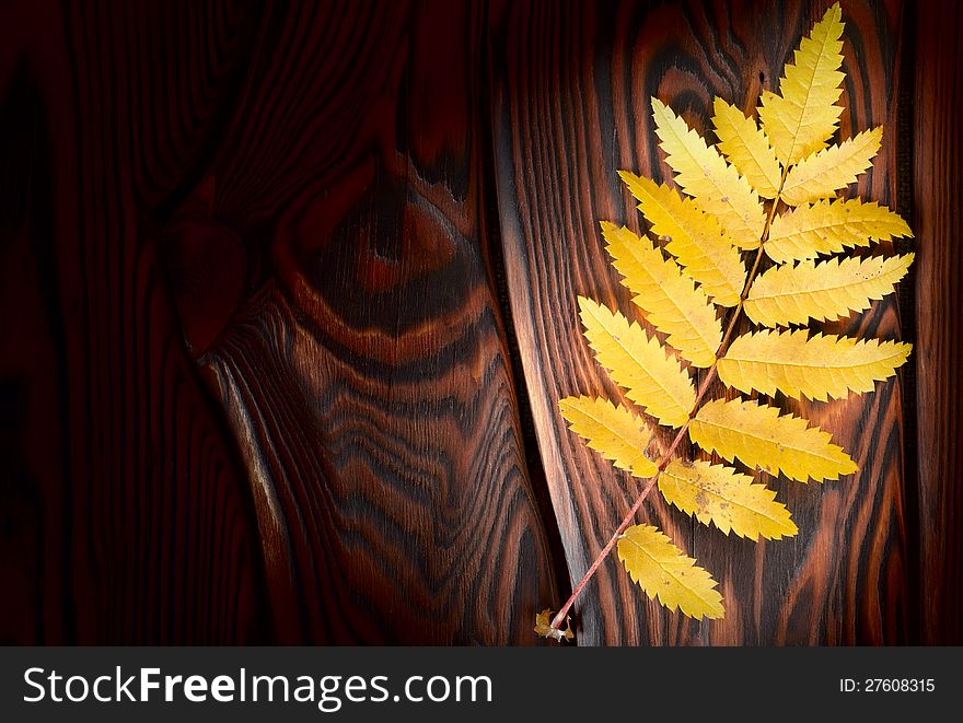 Autumn decoration on an old wooden surface. Autumn decoration on an old wooden surface