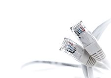 Two Rj45 Connectors Royalty Free Stock Image